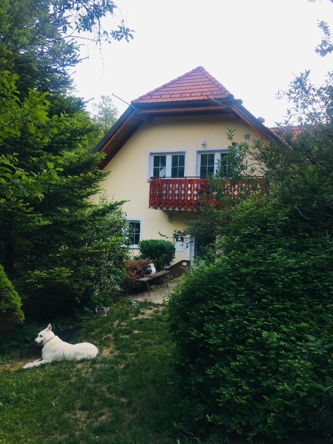 Ferienwohnung Nicehead Spacious Nest Between Maribor And Celje Loče pri Poljčanah Exterior foto