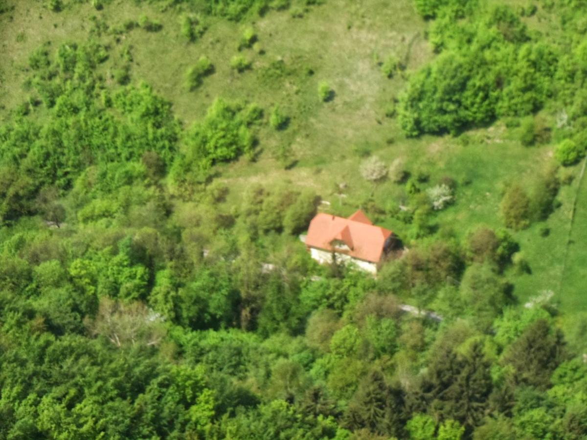 Ferienwohnung Nicehead Spacious Nest Between Maribor And Celje Loče pri Poljčanah Exterior foto